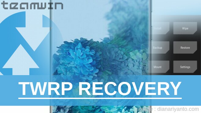 TWRP Samsung Galaxy S20 Plus Tanpa PC